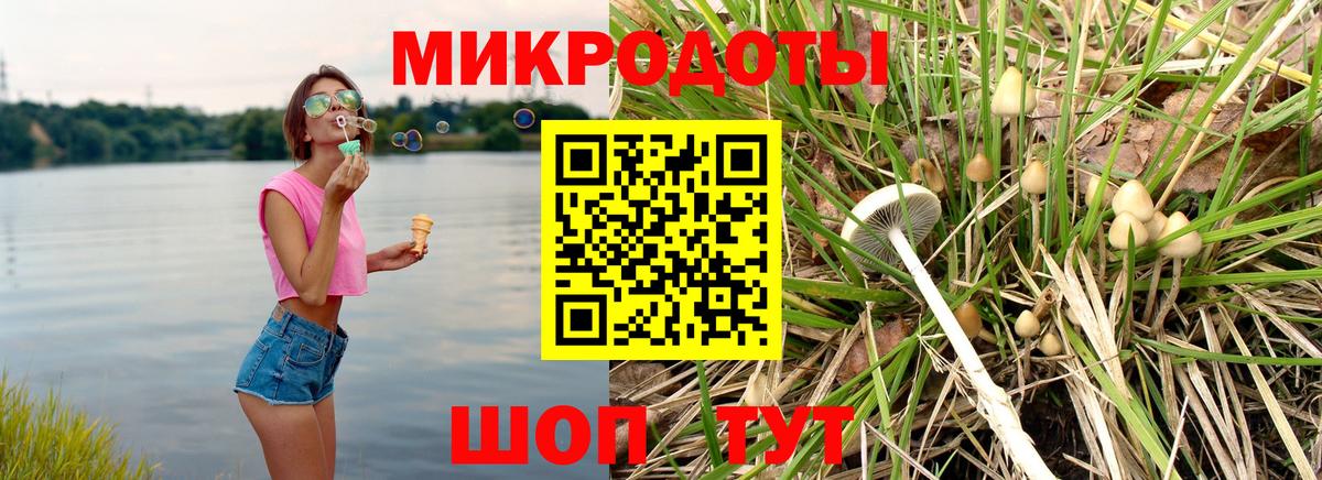 Псилоцибиновые грибы мицелий  Вход с VPN  Выкса  Псилоцибиновые грибы ЛСД 