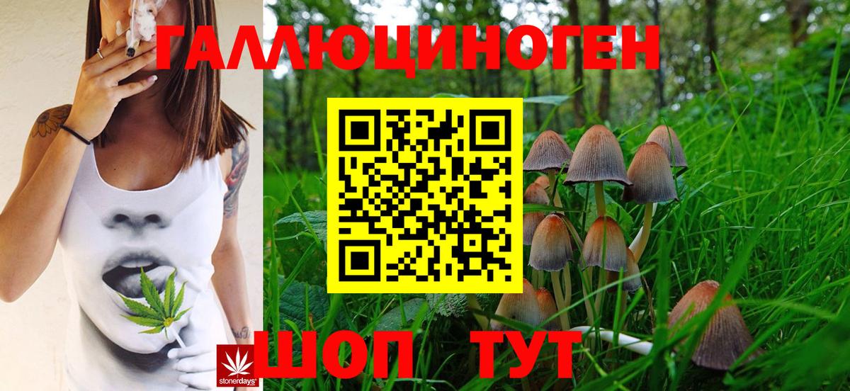 Псилоцибиновые грибы Cubensis Выкса