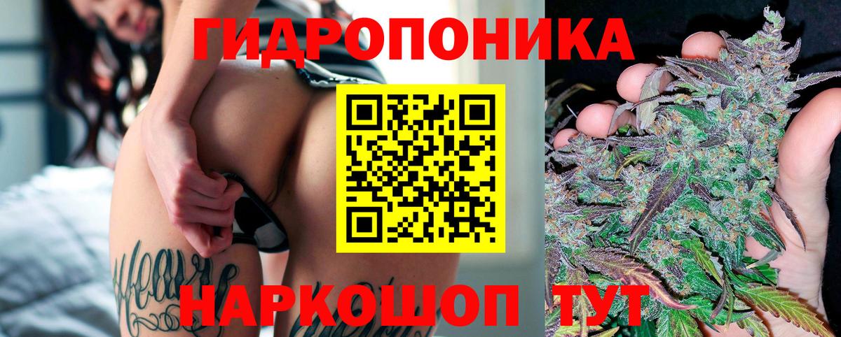 Бошки Шишки сатива  Вход с VPN  Выкса  Шишки марихуана OG Kush 